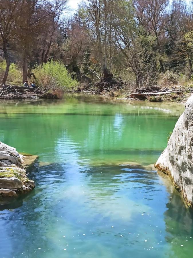 Sous Les Etoiles En Provence, Les Bambous * Lurs